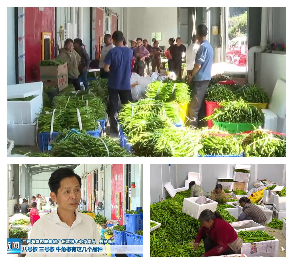 BB电子游戏·(中国)官方官网