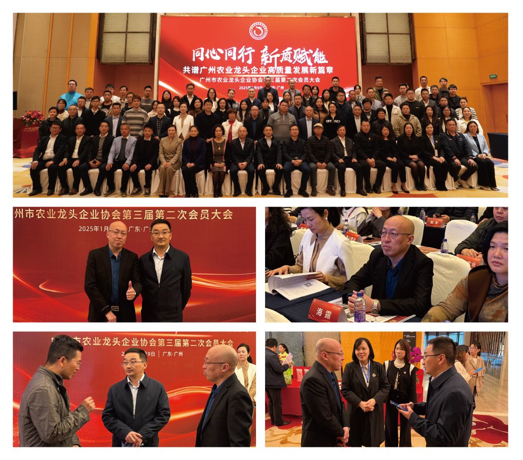 BB电子游戏·(中国)官方官网