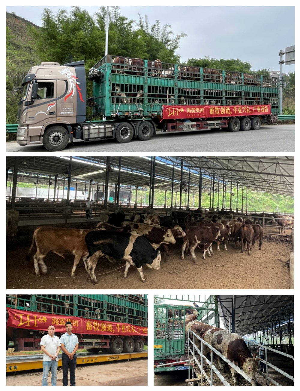 BB电子游戏·(中国)官方官网