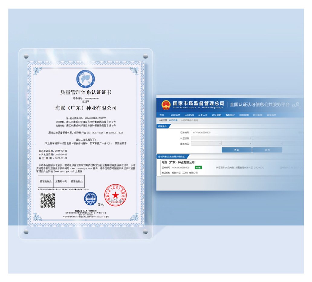 BB电子游戏·(中国)官方官网