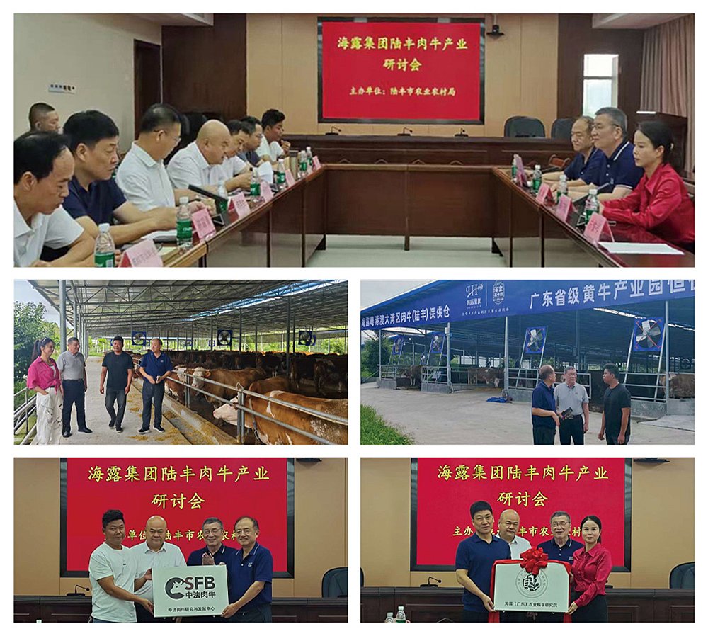 BB电子游戏·(中国)官方官网