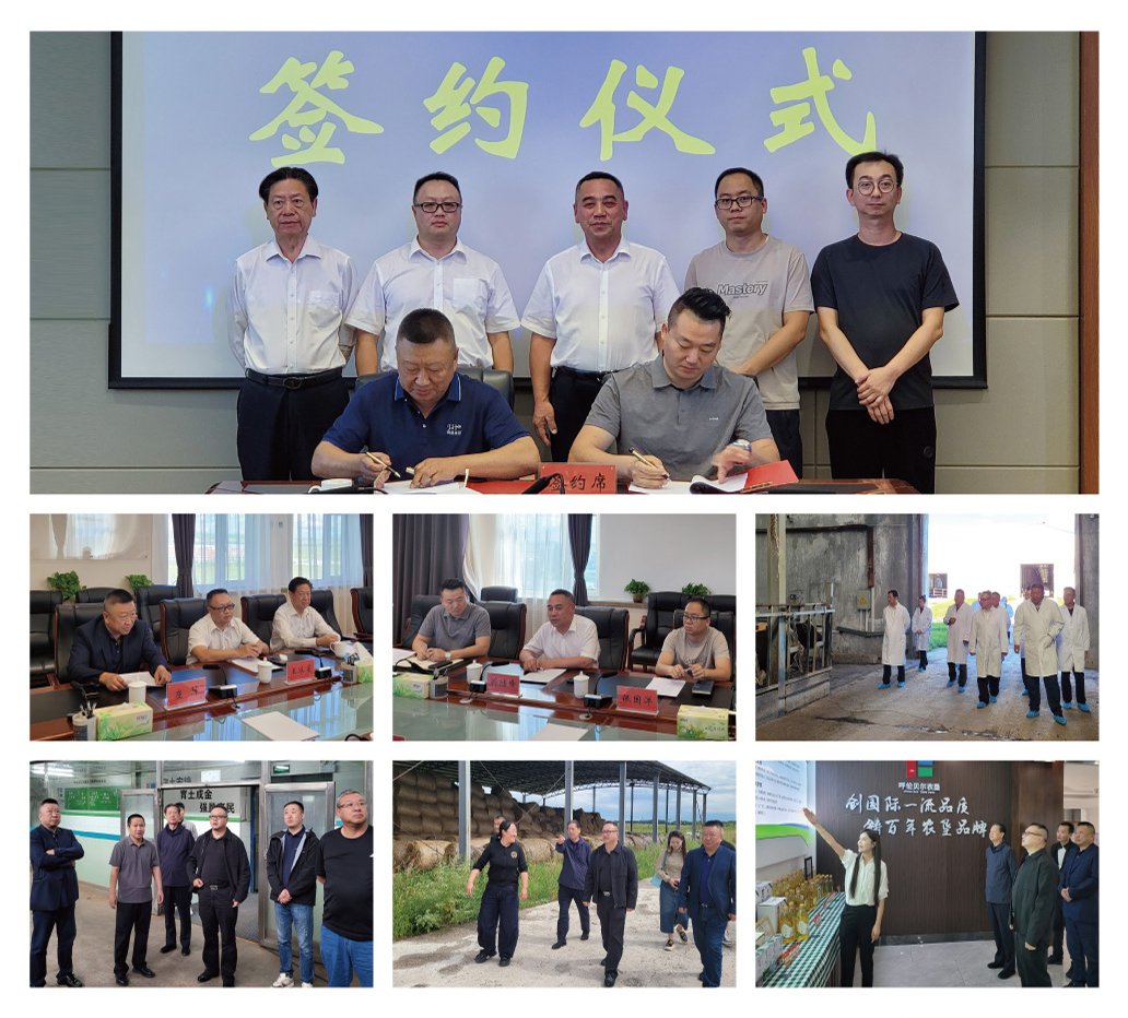 BB电子游戏·(中国)官方官网