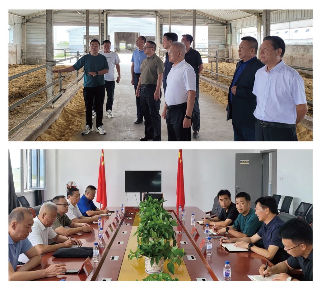 BB电子游戏·(中国)官方官网