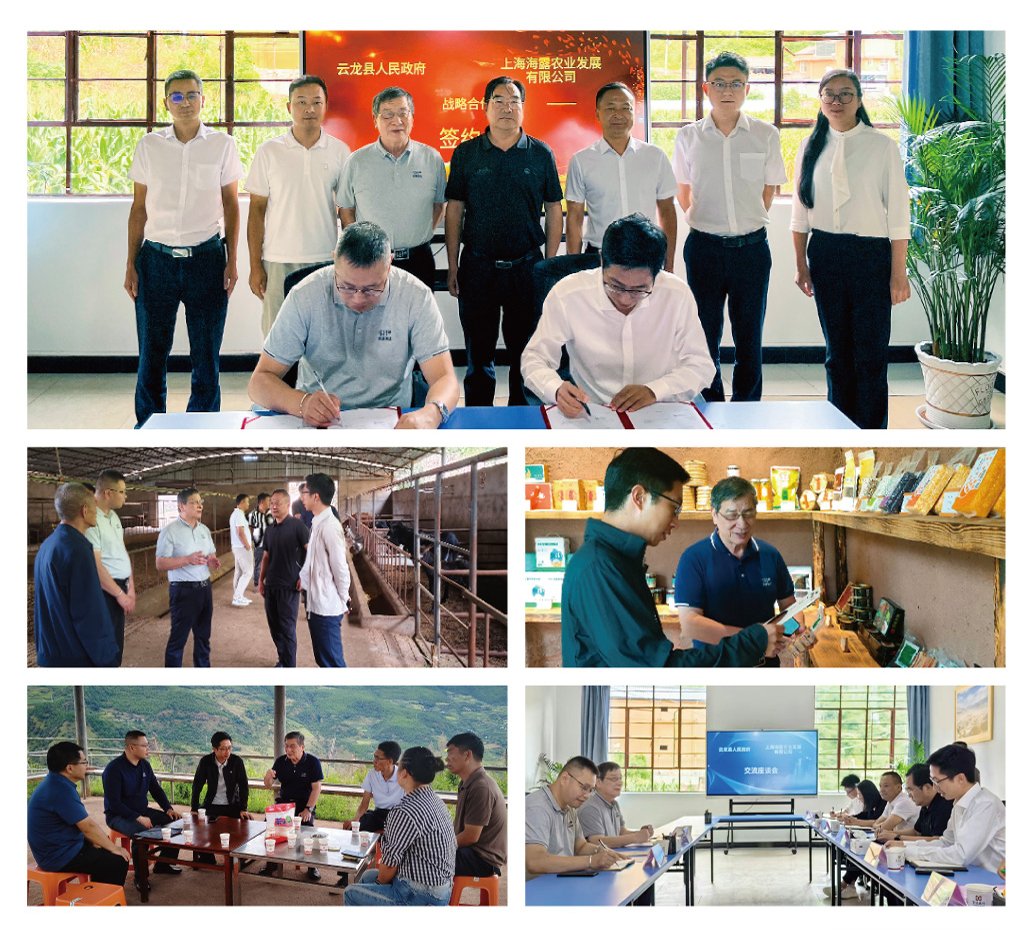 BB电子游戏·(中国)官方官网