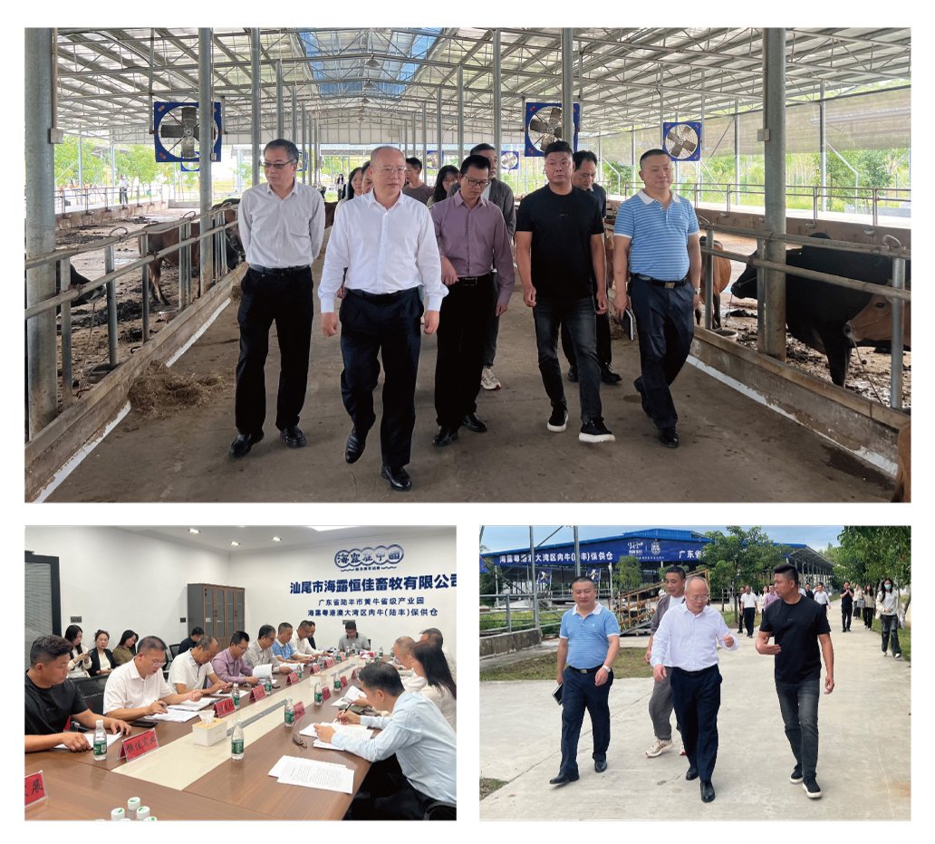 BB电子游戏·(中国)官方官网