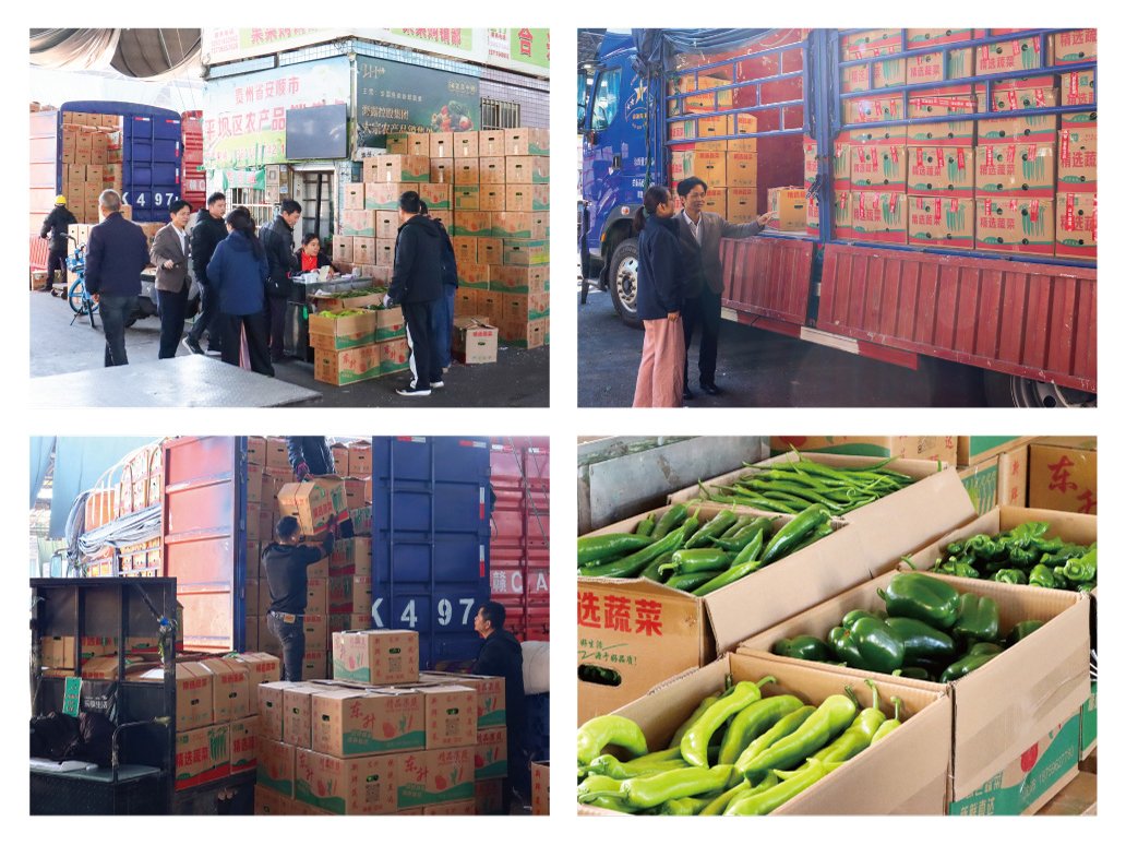 BB电子游戏·(中国)官方官网